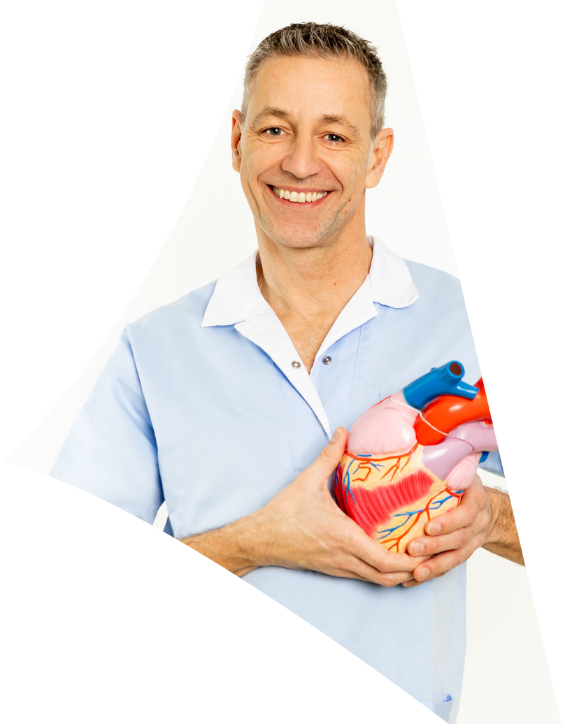 Ein lächelnder Mann in hellblauer medizinischer Arbeitskleidung hält ein anatomisches 3D-Modell eines menschlichen Herzens in den Händen